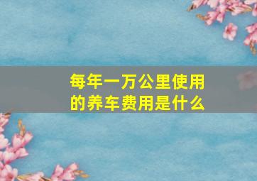 每年一万公里使用的养车费用是什么