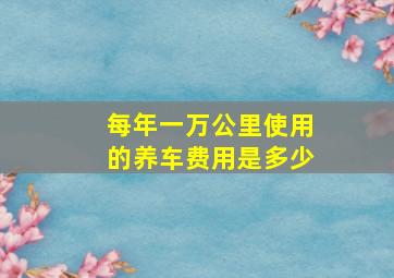 每年一万公里使用的养车费用是多少