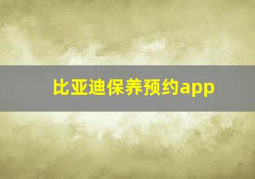 比亚迪保养预约app