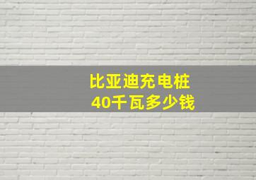 比亚迪充电桩40千瓦多少钱