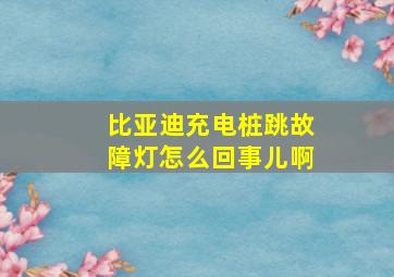 比亚迪充电桩跳故障灯怎么回事儿啊