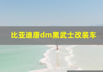 比亚迪唐dm黑武士改装车