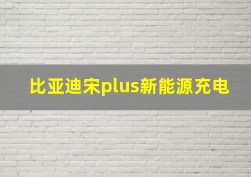 比亚迪宋plus新能源充电