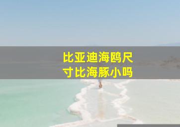 比亚迪海鸥尺寸比海豚小吗