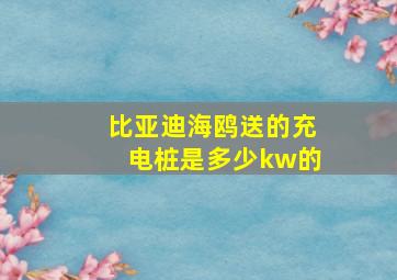 比亚迪海鸥送的充电桩是多少kw的