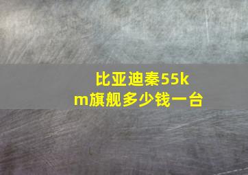 比亚迪秦55km旗舰多少钱一台