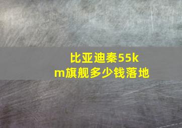 比亚迪秦55km旗舰多少钱落地