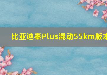 比亚迪秦Plus混动55km版本