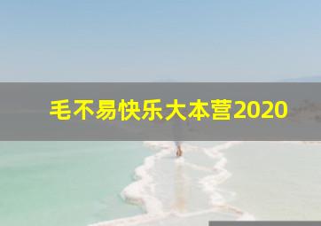 毛不易快乐大本营2020