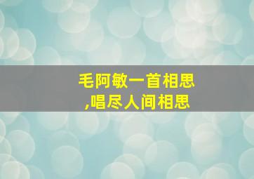 毛阿敏一首相思,唱尽人间相思