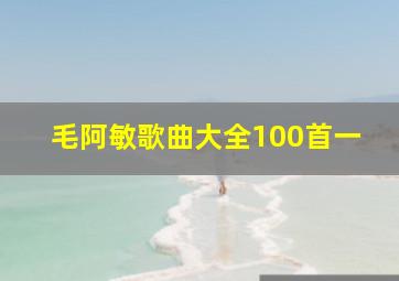 毛阿敏歌曲大全100首一