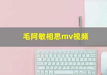 毛阿敏相思mv视频