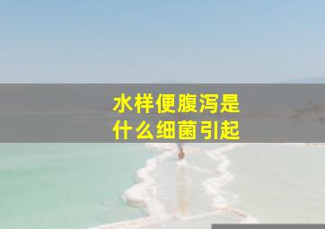 水样便腹泻是什么细菌引起