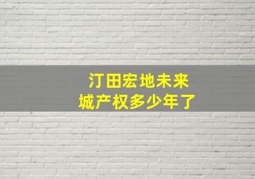 汀田宏地未来城产权多少年了