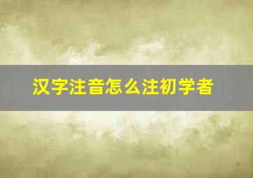 汉字注音怎么注初学者