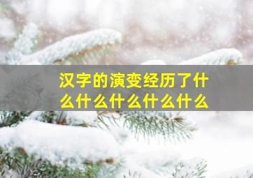 汉字的演变经历了什么什么什么什么什么