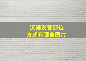 汉语发音部位方式有哪些图片