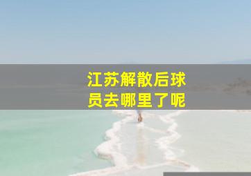 江苏解散后球员去哪里了呢