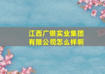 江西广银实业集团有限公司怎么样啊