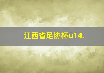 江西省足协杯u14.