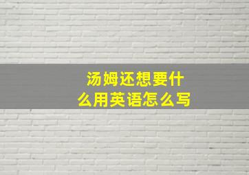 汤姆还想要什么用英语怎么写