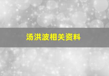 汤洪波相关资料