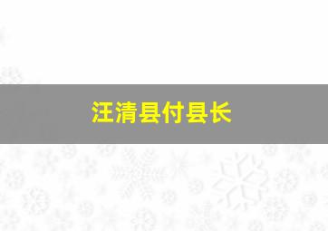 汪清县付县长