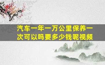 汽车一年一万公里保养一次可以吗要多少钱呢视频