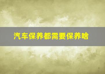 汽车保养都需要保养啥