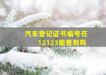 汽车登记证书编号在12123能查到吗