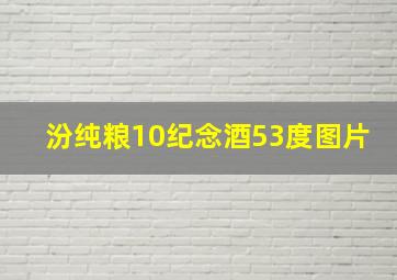 汾纯粮10纪念酒53度图片