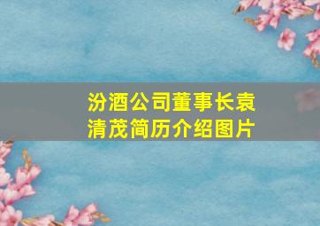 汾酒公司董事长袁清茂简历介绍图片