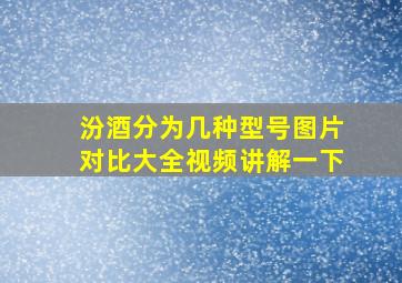 汾酒分为几种型号图片对比大全视频讲解一下