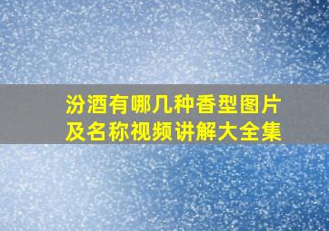 汾酒有哪几种香型图片及名称视频讲解大全集