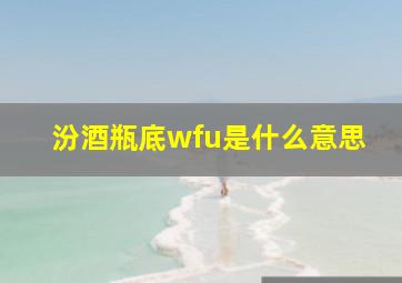 汾酒瓶底wfu是什么意思