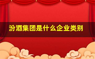 汾酒集团是什么企业类别