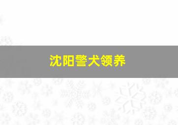 沈阳警犬领养