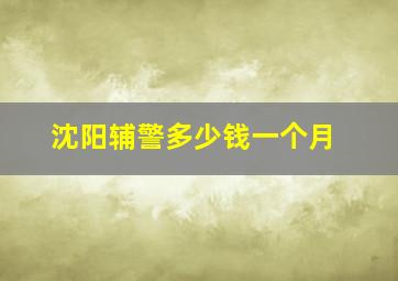 沈阳辅警多少钱一个月