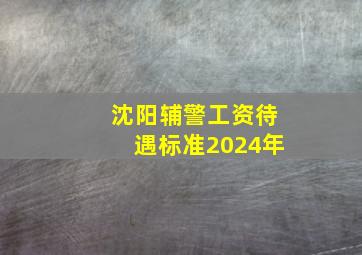 沈阳辅警工资待遇标准2024年