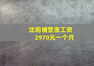 沈阳辅警涨工资2970元一个月