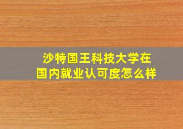 沙特国王科技大学在国内就业认可度怎么样