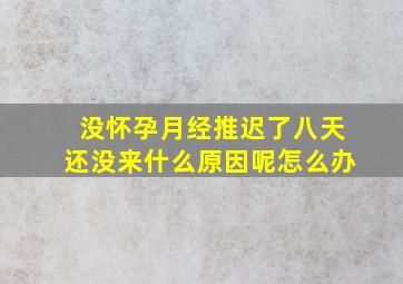 没怀孕月经推迟了八天还没来什么原因呢怎么办