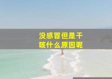 没感冒但是干咳什么原因呢