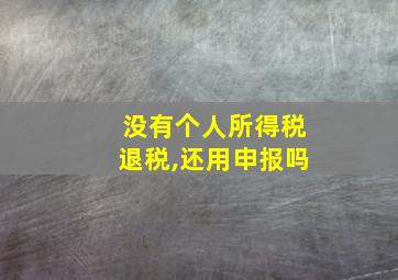 没有个人所得税退税,还用申报吗