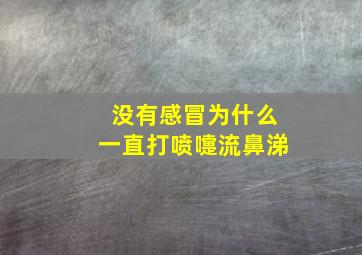 没有感冒为什么一直打喷嚏流鼻涕