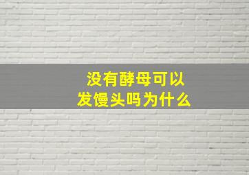 没有酵母可以发馒头吗为什么