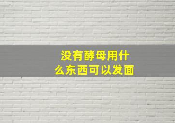 没有酵母用什么东西可以发面