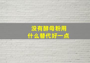 没有酵母粉用什么替代好一点