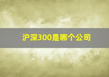 沪深300是哪个公司