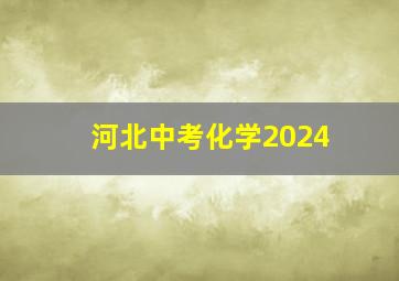 河北中考化学2024